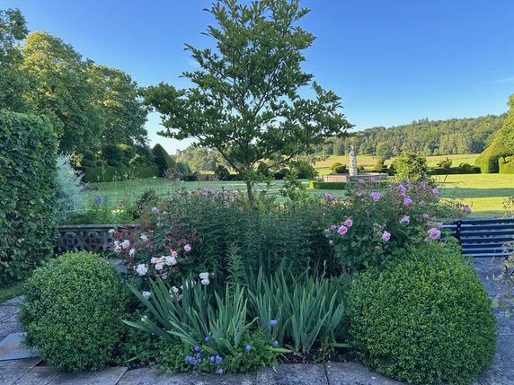 Image of garden from terrace