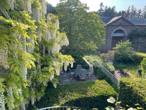 Image of garden from upper terrace